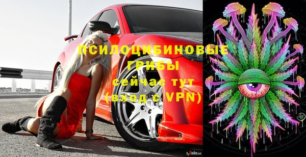 первитин Вяземский