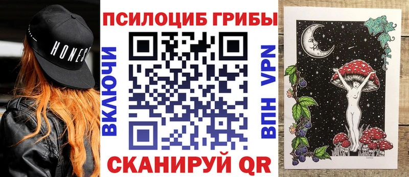 Псилоцибиновые грибы GOLDEN TEACHER  Купить  Магас 